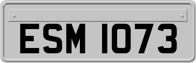 ESM1073