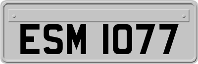 ESM1077