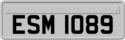 ESM1089