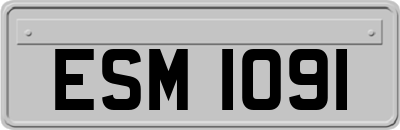 ESM1091