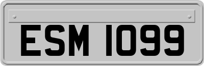 ESM1099