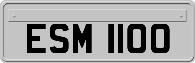 ESM1100