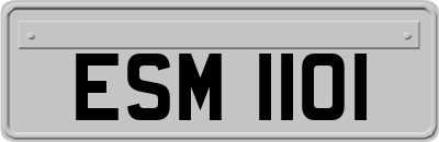 ESM1101