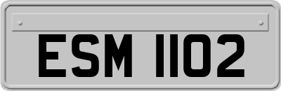 ESM1102