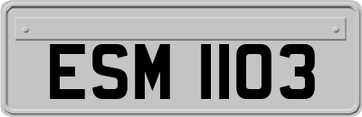 ESM1103