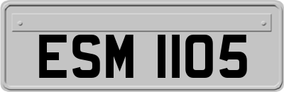 ESM1105
