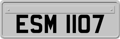 ESM1107