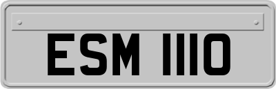 ESM1110