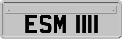 ESM1111