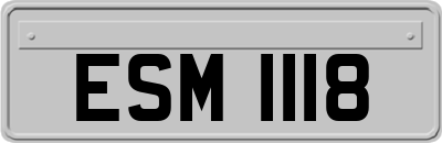 ESM1118