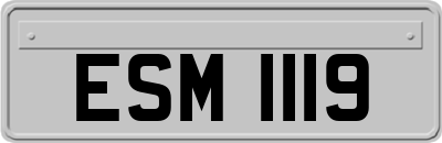 ESM1119