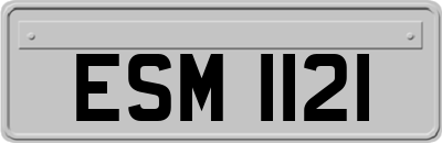 ESM1121