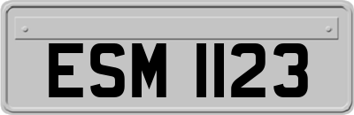 ESM1123