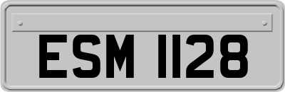 ESM1128