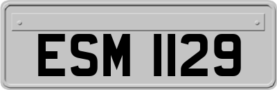ESM1129