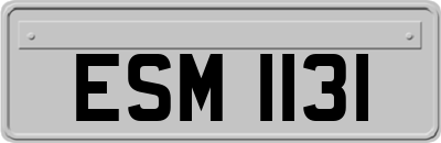 ESM1131