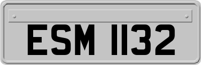 ESM1132