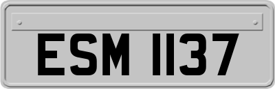 ESM1137