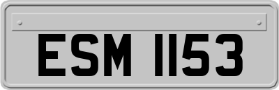 ESM1153