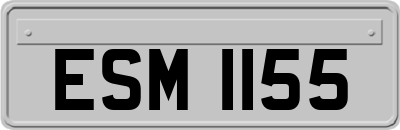 ESM1155