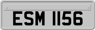 ESM1156