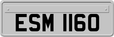 ESM1160