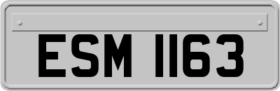 ESM1163