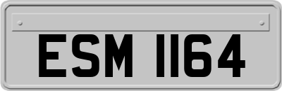 ESM1164