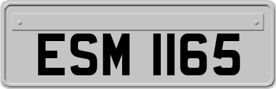 ESM1165
