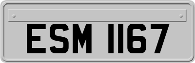 ESM1167