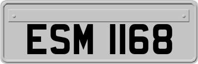 ESM1168