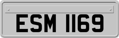 ESM1169