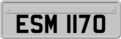 ESM1170