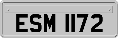 ESM1172