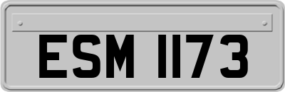 ESM1173