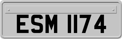 ESM1174