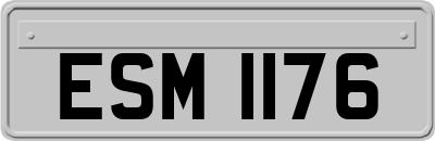 ESM1176