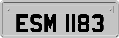 ESM1183