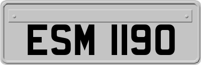 ESM1190