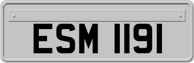 ESM1191