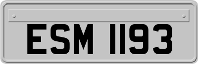 ESM1193