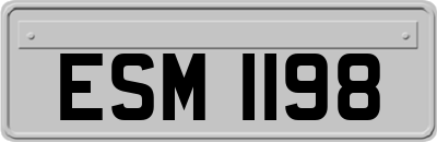 ESM1198