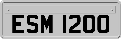 ESM1200
