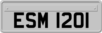 ESM1201