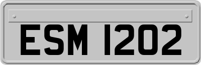 ESM1202