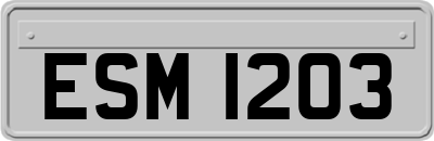 ESM1203