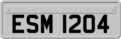 ESM1204