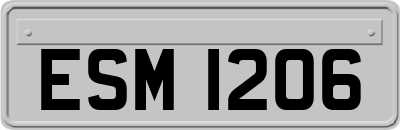 ESM1206