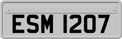 ESM1207