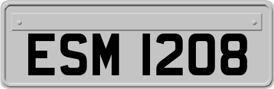 ESM1208